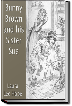 Bunny Brown and his Sister Sue | Laura Lee Hope